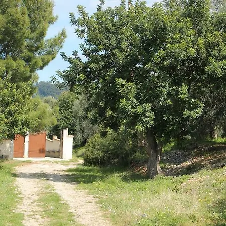 Il Carrubo San Menaio
